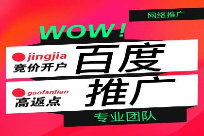 精准投放，sem竞价代运营的五大成功投放案例